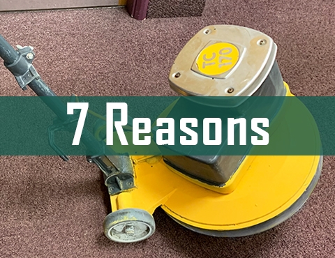 7 Reasons Why Your Carpets Need a Regular Deep Clean