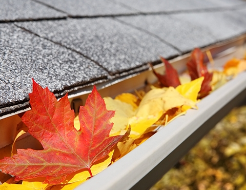 Why is Gutter Cleaning Important?