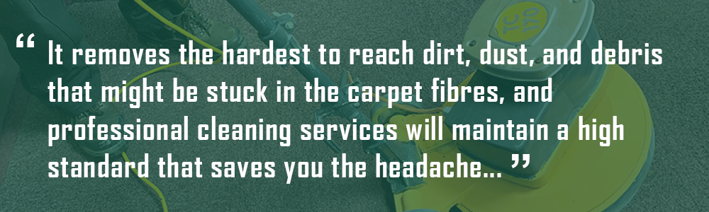 blog-banner-7-reasons-why---carpet-cleaning.png