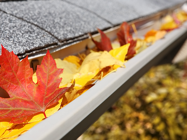 Gutter Cleaning South Yorkshire