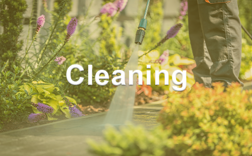 Our grounds cleaning services