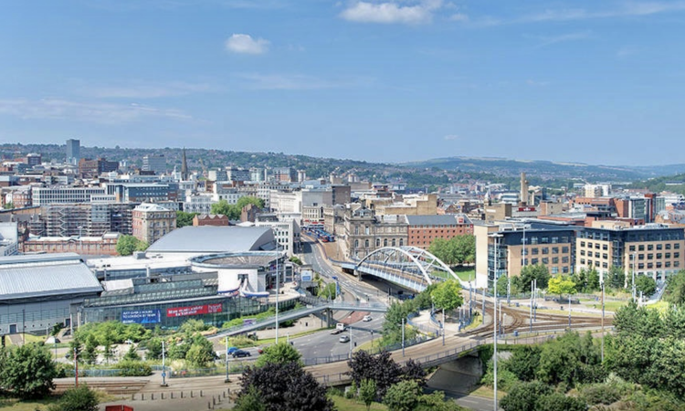 Grounds Maintenance for Commercial Clients Across Sheffield