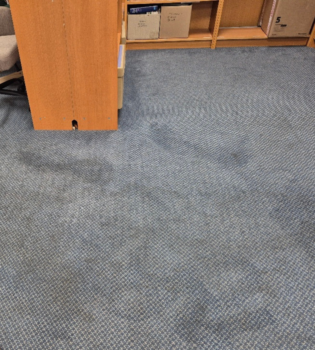 Before carpet cleaning transformation