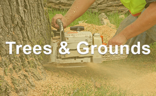 Our trees and grounds services